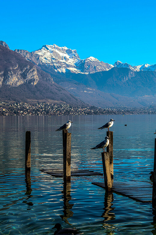 Photo du lac d'Annecy avec montagne en fond et mouettes sur pilotis